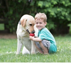 KONG Classic 17 KONG Classic -Hundebedarfs Geschäft kong classic 98642 0500 none