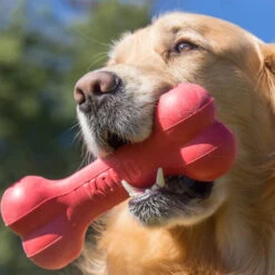 KONG Goodie Bone -Hundebedarfs Geschäft kong goodie bone 194186 0500 none