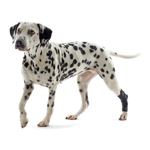 Kruuse Rehab Fersenschutz 3 Kruuse Rehab Fersenschutz