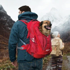 Kurgo G-Train K9 Pack -Hundebedarfs Geschäft kurgo g train k9 pack 177133 0500 none