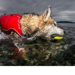 Kurgo Skipping Stones -Hundebedarfs Geschäft kurgo skipping stones 99608 0500 none