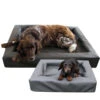 Lounge Dogbed