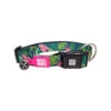 Max & Molly Smart ID Halsband Tropical -Hundebedarfs Geschäft max molly smart id halsband tropical 184288 0500 none