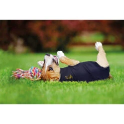 Medical Pet Shirt Hund 17 Medical Pet Shirt Hund -Hundebedarfs Geschäft medical pet shirt hond 149981 0500 none