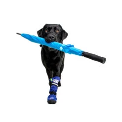 Medical Pet Shirt Boot -Hundebedarfs Geschäft medical pets boot 167482 0500 none