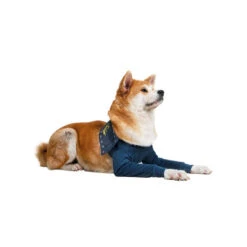 MPS-TAZ2 Vorderpfotenschutz -Hundebedarfs Geschäft mps taz2 voorpootmouwtjes 167446 0500 none