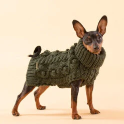 PAIKKA Handmade Knit Sweater -Hundebedarfs Geschäft paikka handmade knit sweater green 217735 0500 none