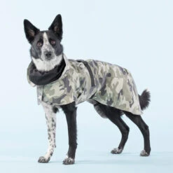 PAIKKA Recovery Raincoat Camo -Hundebedarfs Geschäft paikka recovery raincoat camo 217730 0500 none