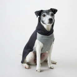 PAIKKA Recovery Winter Shirt -Hundebedarfs Geschäft paikka recovery winter shirt 217786 0500 none