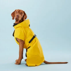 PAIKKA Visibility Raincoat Lite Yellow -Hundebedarfs Geschäft paikka visibility raincoat lite yellow 217726 0500 none