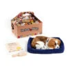 Perfect Petzzz Soft Cavalier King Charles -Hundebedarfs Geschäft perfect petzzz soft cavalier king charles 151240 0500 none