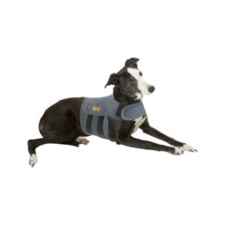 Petlife KarmaWrap Für Hunde -Hundebedarfs Geschäft petlife karmawrap hond 154186 0500 none
