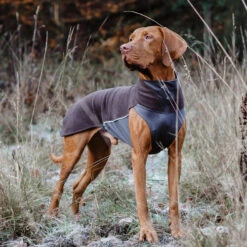 Pomppa Jumppa -Hundebedarfs Geschäft pomppa jumppa 190570 0500 none