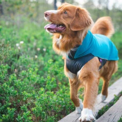 Pomppa Jumppa -Hundebedarfs Geschäft pomppa jumppa 190573 0500 none