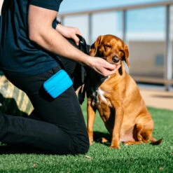 Popware Pooch Pouch Treatbag -Hundebedarfs Geschäft popware pooch pouch treatbag 164698 0500 none