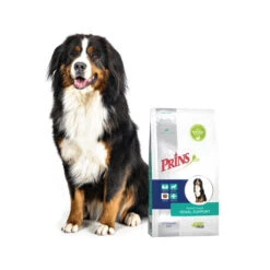 Prins ProCare Croque Renal Support 9 Prins ProCare Croque Renal Support -Hundebedarfs Geschäft prins procare croque renal support 171433 0500 none