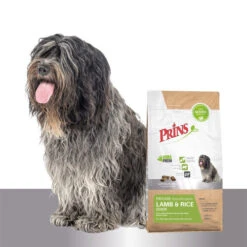 Prins ProCare Lamb & Rice Senior Hypoallergenic -Hundebedarfs Geschäft prins procare lamb rice senior hypoallergenic 171712 0500 none