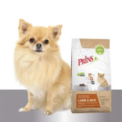 Prins ProCare Mini Lamb & Rice Hypoallergenic 8 Prins ProCare Mini Lamb & Rice Hypoallergenic -Hundebedarfs Geschäft prins procare mini lamb rice hypoallergenic 171730 0500 none