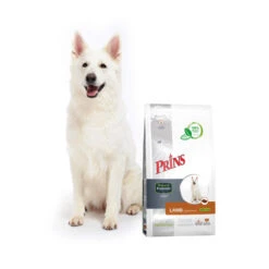 Prins ProCare Protection Lamm Hypoallergic -Hundebedarfs Geschäft prins procare protection lam hypoallergic 171823 0500 none