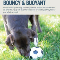 Planet Dog Orbee-Tuff Soccer Ball 13 Planet Dog Orbee-Tuff Soccer Ball -Hundebedarfs Geschäft prod 14590 203615 0500 none