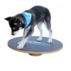 FitPAWS Wobble Board -Hundebedarfs Geschäft product fitpaws wobble board none 4 1470905070 76051