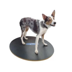 FitPAWS Wobble Board -Hundebedarfs Geschäft product fitpaws wobble board none 4 1471260307 76246