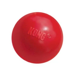 KONG Ball 10 KONG Ball -Hundebedarfs Geschäft product kong ball none 4 1466058812 69915