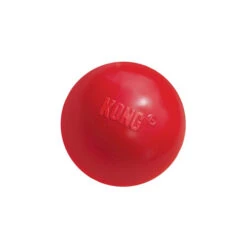 KONG Ball 11 KONG Ball -Hundebedarfs Geschäft product kong ball none 4 1466058813 69918