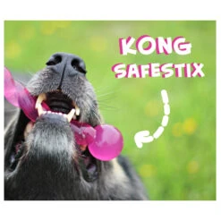 KONG Safestix -Hundebedarfs Geschäft product kong safestix none 4 1458633926 66969