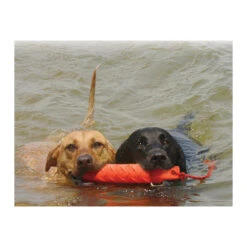 KONG Training Dummy -Hundebedarfs Geschäft product kong training dummy none 4 1469627104 71971