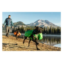 Ruffwear Approach Pack -Hundebedarfs Geschäft product ruffwear approach pack none 4 1489677652 84736