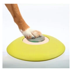 Trixie Dog Activity Memory Trainer -Hundebedarfs Geschäft product trixie memory trainer strategy game none 4 1478600542 79912