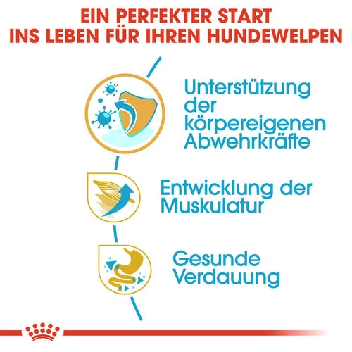 Royal Canin Boxer Puppy - Hundefutter 4 Royal Canin Boxer Puppy - Hundefutter – Bild 2