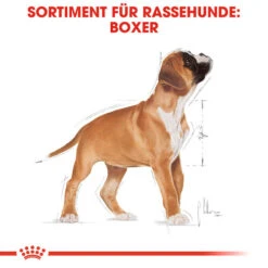 Royal Canin Boxer Puppy - Hundefutter 13 Royal Canin Boxer Puppy - Hundefutter -Hundebedarfs Geschäft royal canin boxer puppy hondenvoer 137491 0500 none