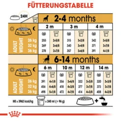 Royal Canin Boxer Puppy - Hundefutter 16 Royal Canin Boxer Puppy - Hundefutter -Hundebedarfs Geschäft royal canin boxer puppy hondenvoer 137500 0500 none