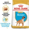 Royal Canin Boxer Puppy - Hundefutter -Hundebedarfs Geschäft royal canin boxer puppy hondenvoer 140465 0500 none