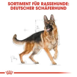 Royal Canin German Shepherd Adult - Hundefutter 12 Royal Canin German Shepherd Adult - Hundefutter -Hundebedarfs Geschäft royal canin german shepherd adult hondenvoer 138751 0500 none