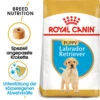Royal Canin Labrador Retriever Puppy - Hundefutter -Hundebedarfs Geschäft royal canin labrador retriever puppy hondenvoer 140618 0500 none