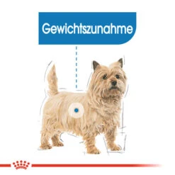 Royal Canin Mini Light Weight Care - Hundefutter -Hundebedarfs Geschäft royal canin mini light weight care hondenvoer 132725 0500 none