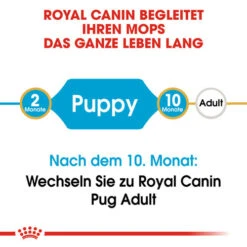 Royal Canin Pug Puppy - Hundefutter -Hundebedarfs Geschäft royal canin pug puppy hondenvoer 139858 0500 none