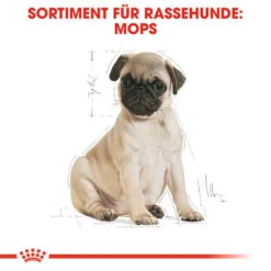 Royal Canin Pug Puppy - Hundefutter -Hundebedarfs Geschäft royal canin pug puppy hondenvoer 139885 0500 none