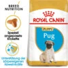 Royal Canin Pug Puppy - Hundefutter -Hundebedarfs Geschäft royal canin pug puppy hondenvoer 139921 0500 none