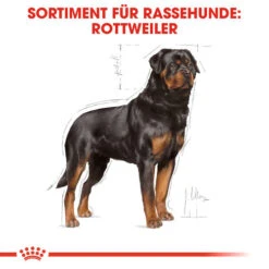 Royal Canin Rottweiler Adult - Hundefutter -Hundebedarfs Geschäft royal canin rottweiler adult hondenvoer 139936 0500 none