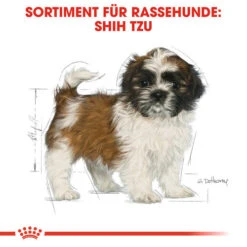 Royal Canin Shih Tzu Puppy - Hundefutter -Hundebedarfs Geschäft royal canin shih tzu junior hondenvoer 140411 0500 none