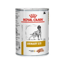 Royal Canin Urinary S/O Hund -Hundebedarfs Geschäft royal canin urinary so hond 130511 0500 none