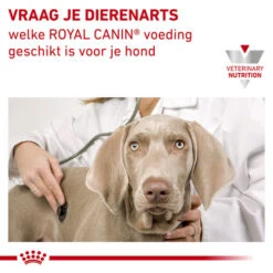 Royal Canin Urinary S/O Hund -Hundebedarfs Geschäft royal canin urinary so hond 153688 0500 none