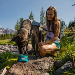 Ruffwear Flat Out Dog Collar - Alpenglow Burst -Hundebedarfs Geschäft ruffwear flat out dog collar alpenglow burst 204812 0500 none