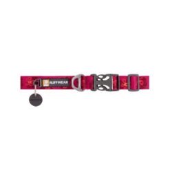 Ruffwear Flat Out Dog Collar - Alpenglow Burst -Hundebedarfs Geschäft ruffwear flat out dog collar alpenglow burst 204824 0500 none