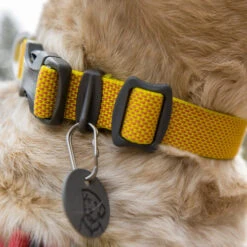 Ruffwear Hi & Light Halsband -Hundebedarfs Geschäft ruffwear hi light collar 194258 0500 none