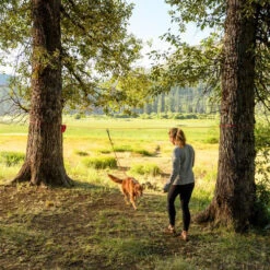 Ruffwear Knot-a-Hitch 8 Ruffwear Knot-a-Hitch -Hundebedarfs Geschäft ruffwear knot a hitch 124643 0500 none